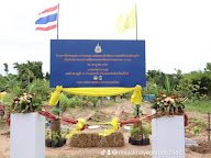 สวนนาย่า โคก หนองนา โมเดล