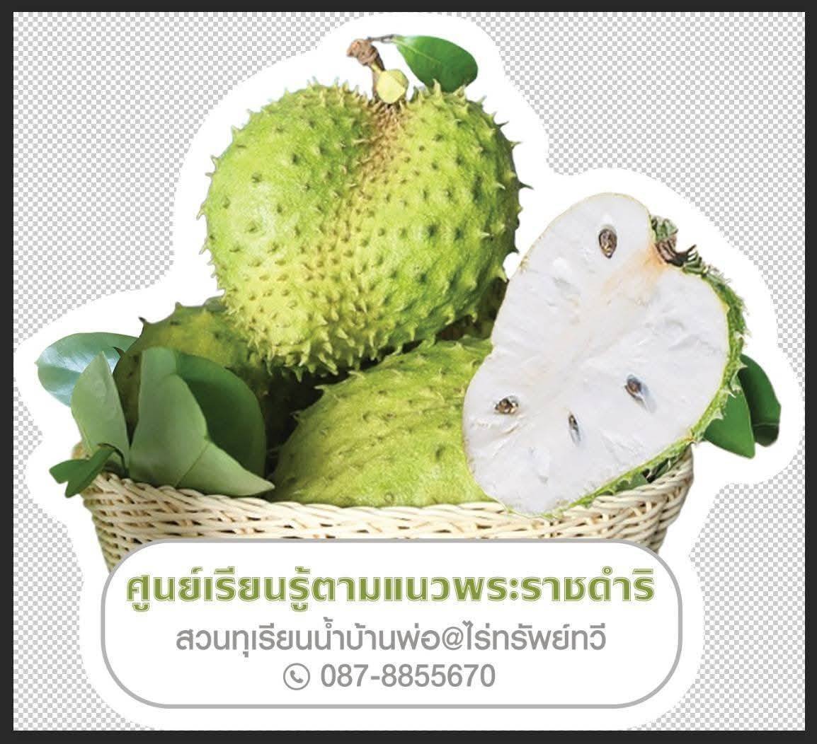 ไร่ทรัพย์ทวี สวนทุเรียนน้ำบ้านพ่อ 
