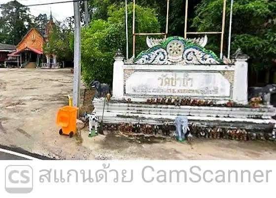 วัดป่าช้า