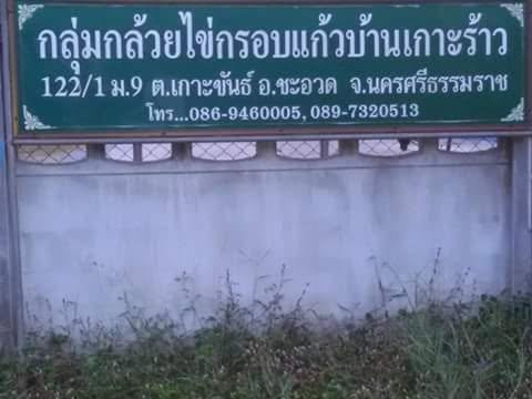 กลุ่มกล้วยไข่กรอบแก้วบ้านเกาะร้าว