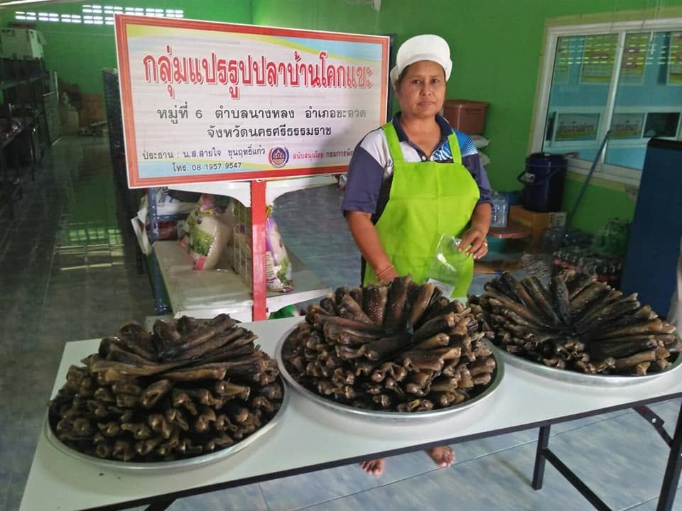 กลุ่มแปรรูปปลาบ้านโคกแซะ