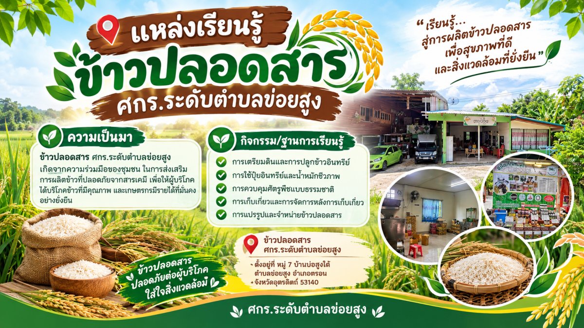ข้าวปลอดสาร