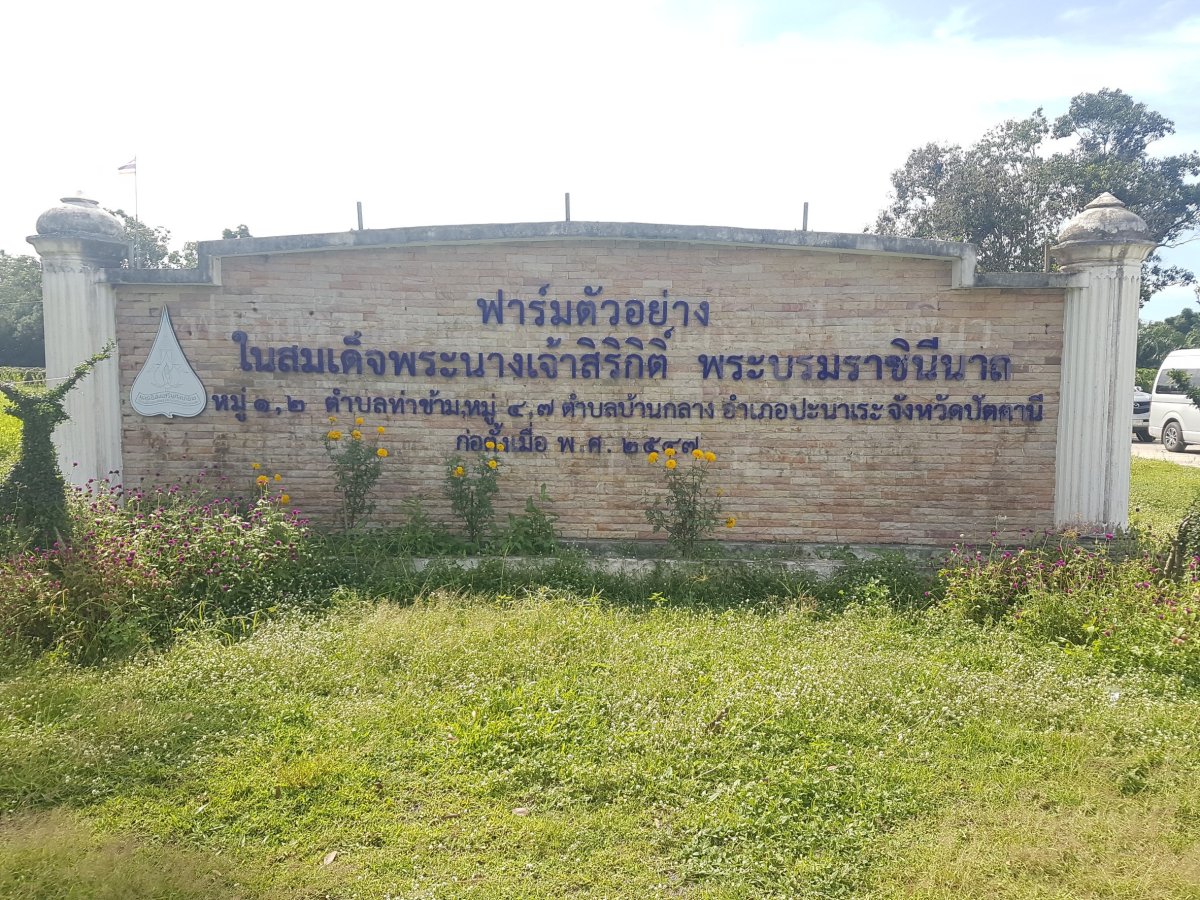 ฟาร์มตัวอย่างตามพระราชดำริ พื้นที่ป่าตาเขียว