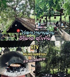 ไร่ตาปา ยายม้าย