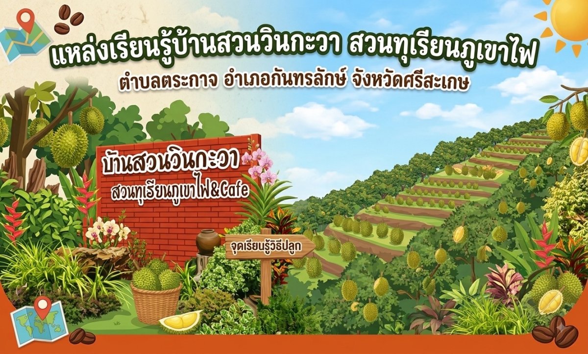 บ้านสวนวินกะวา สวนทุเรียนภูเขาไฟ