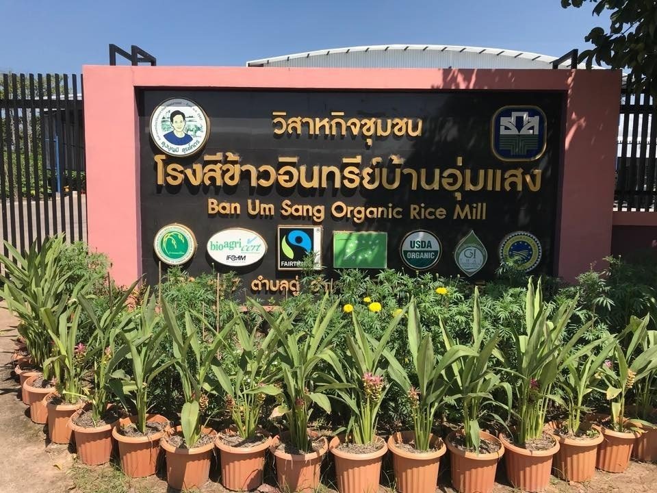 กลุ่มวิสาหกิจชุมชนศูนย์ข้าวชุมชนบ้านอุ่มแสง (กลุ่มเกษตรทิพย์)