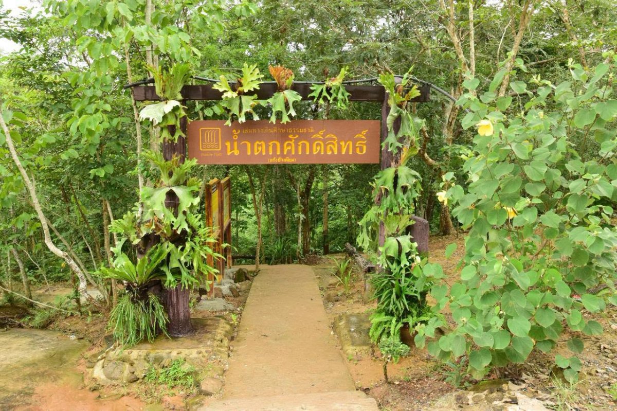 น้ำตกศักดิ์สิทธิ์ (The Holy Waterfall)