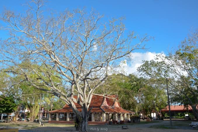 วัดสระ