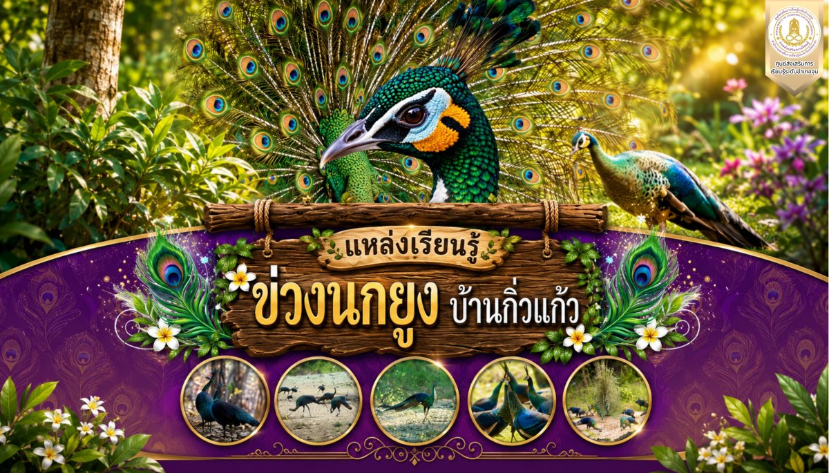 ข่วงนกยูง  บ้านกิ่วแก้ว หมู่ที่ 8 