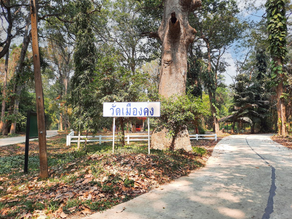 วัดเมืองคง