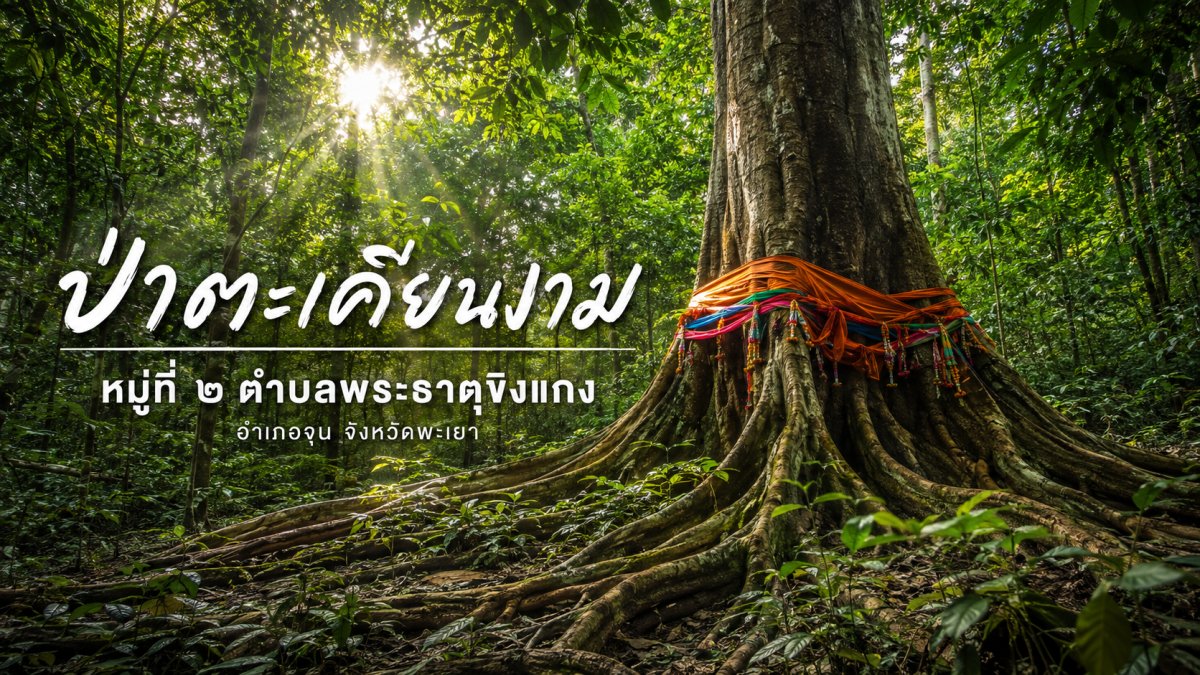 ป่าตะเคียนงาม 