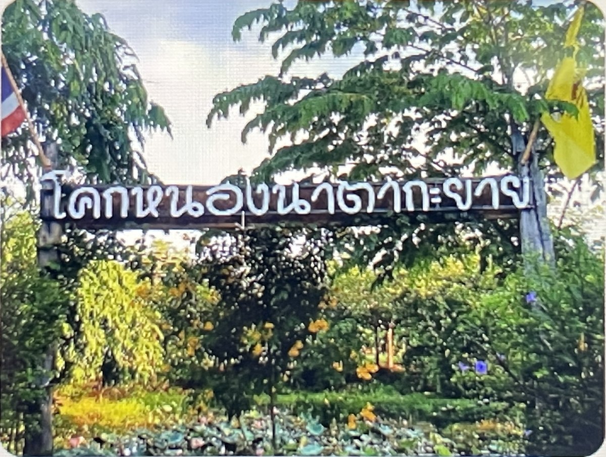 โคกหนองนาตากะยาย