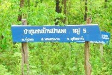 ป่าชุมชนตำบลทุ่งพง
