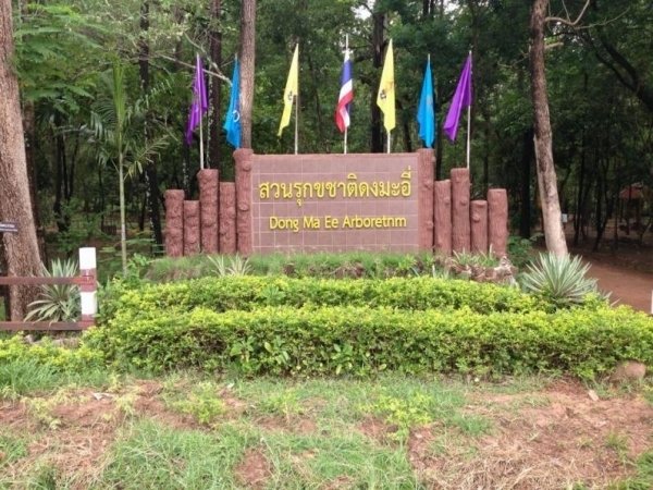 สวนรุกขชาติดงมะอี่