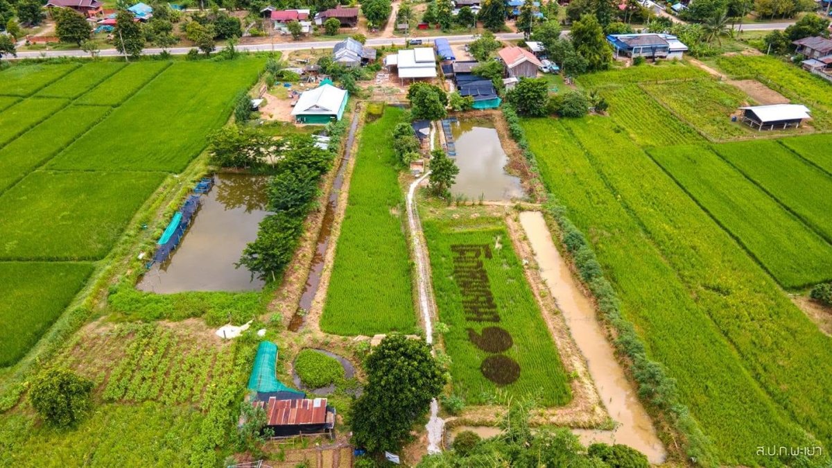 ศูนย์เรียนรู้ด้านเกษตรผสมผสานบ้านใหม่น้ำเงิน