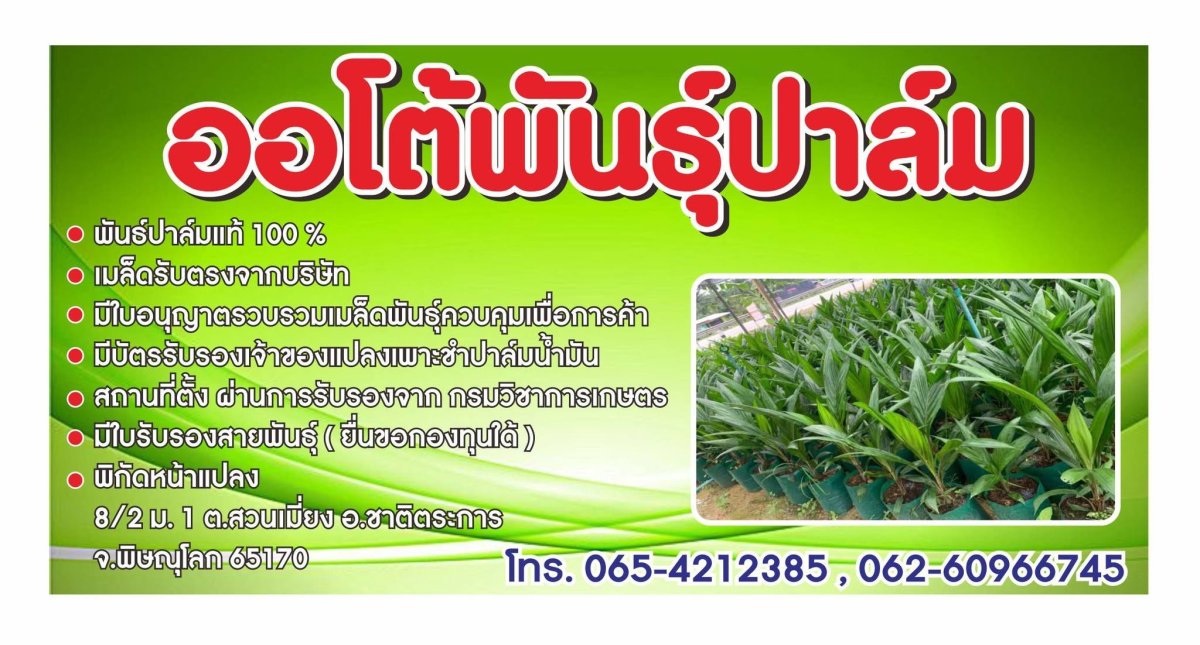 ออโต้พันธปาล์ม