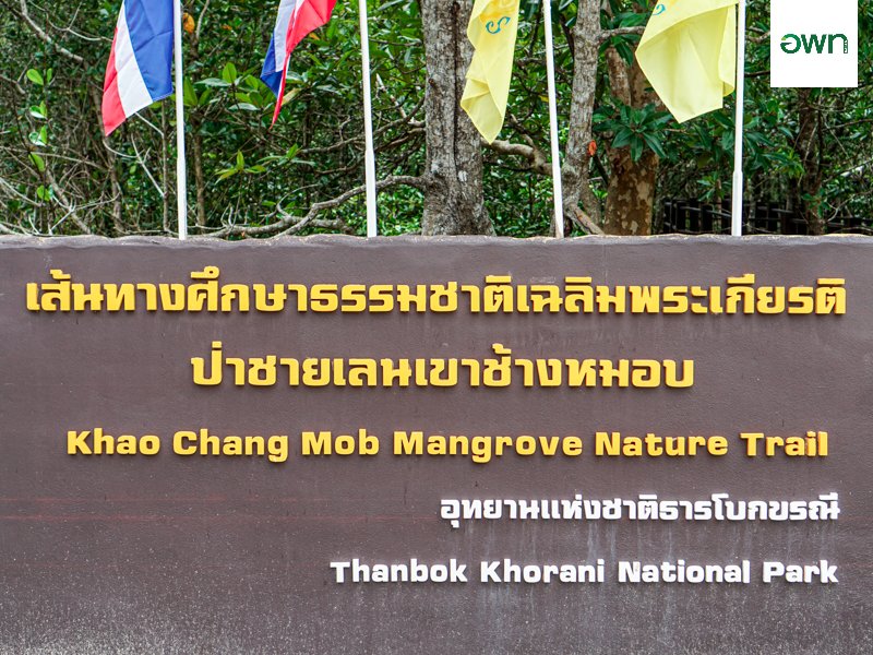 เส้นทางศึกษาธรรมชาติเฉลิมพระเกียรติป่าชายเลนเขาช้างหมอบ