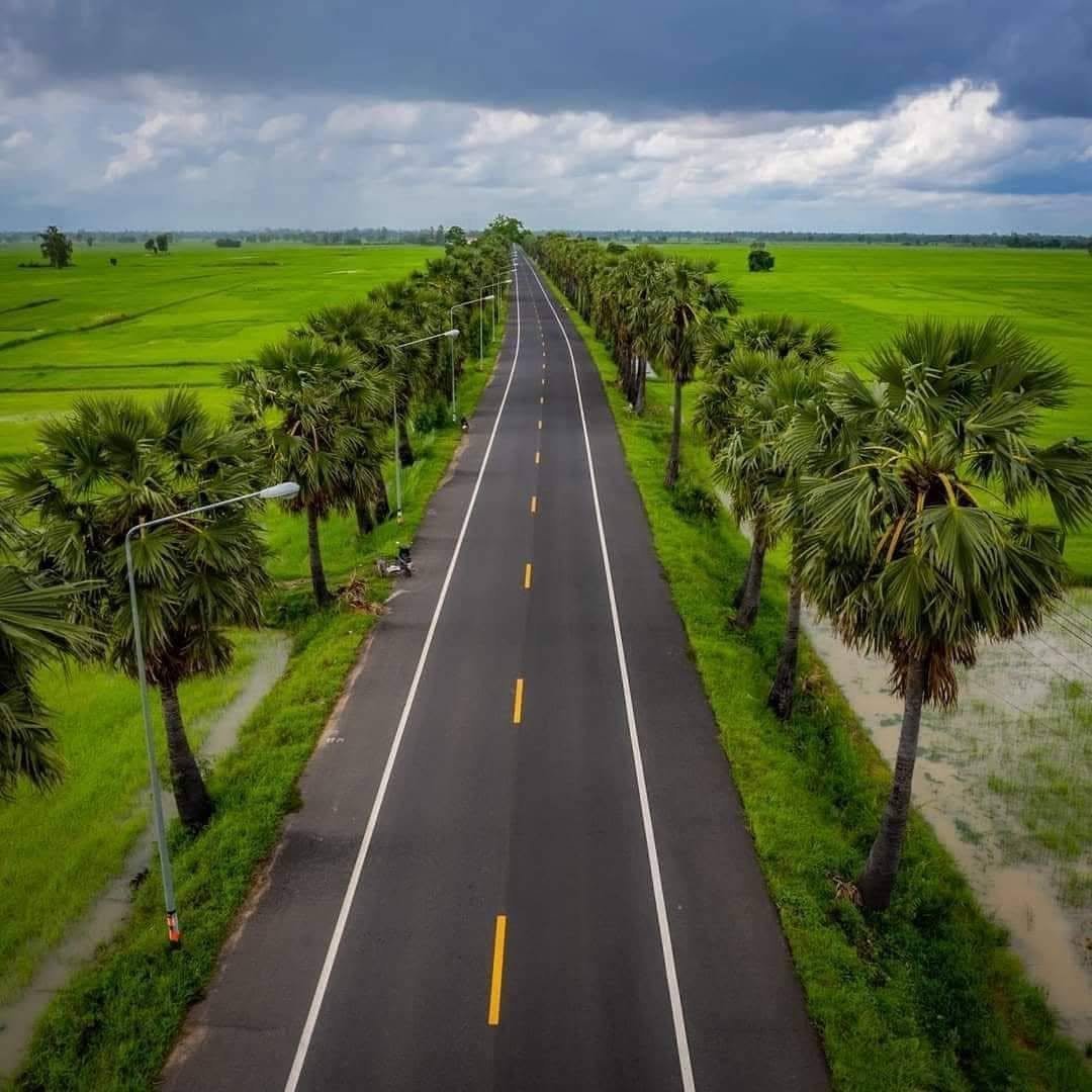 ถนนต้นตาลดาบวิชัย 
