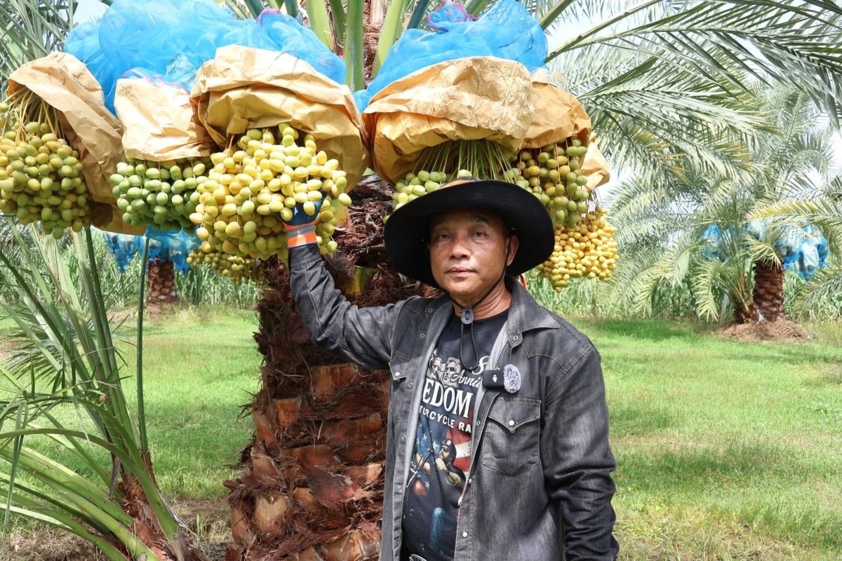 ภาพกิจกรรม 2
