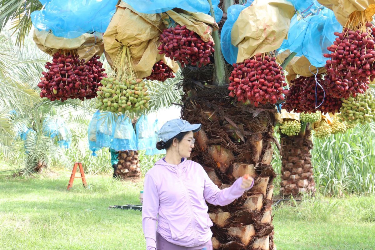 ภาพกิจกรรม 4