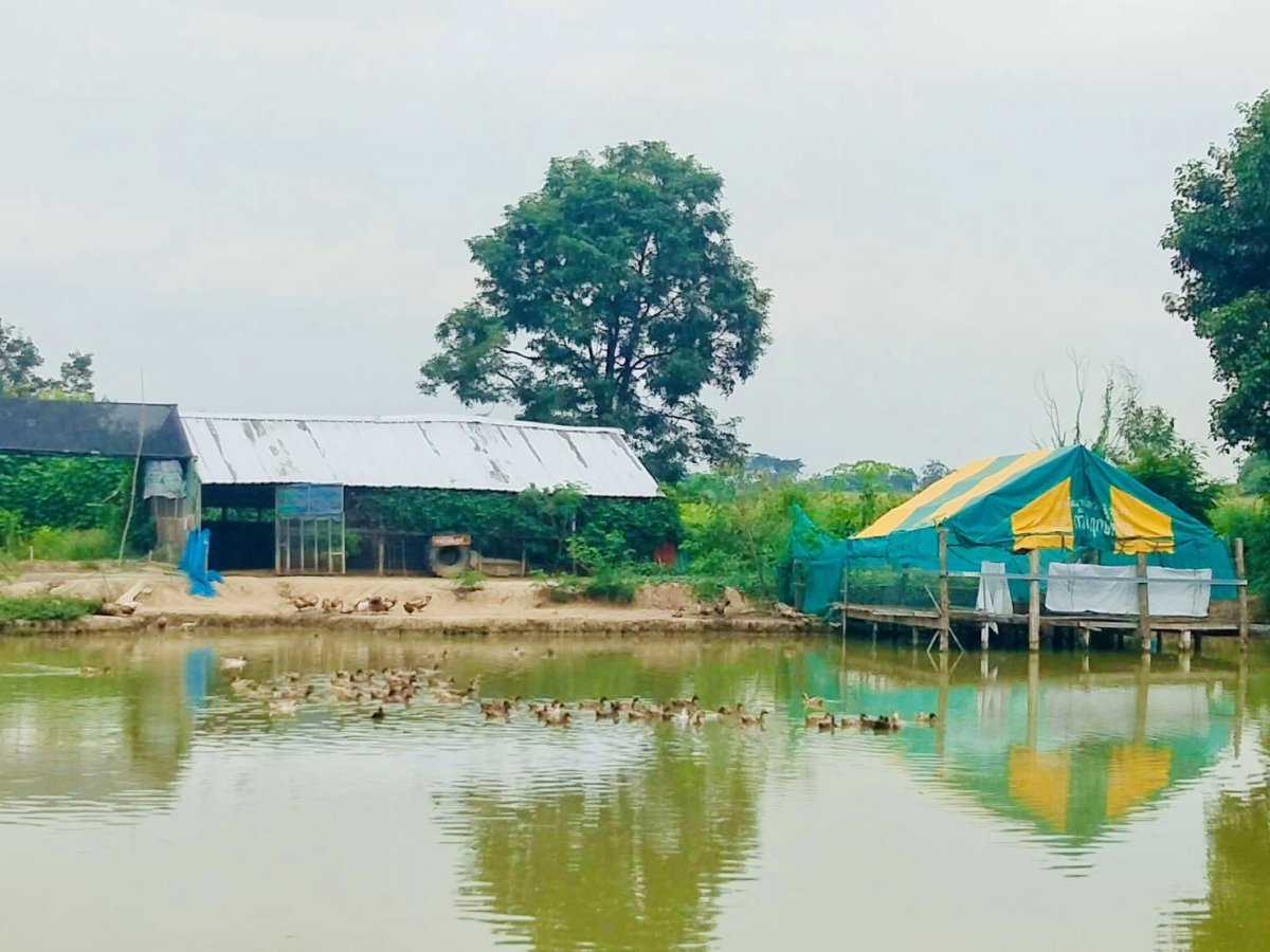ภาพกิจกรรม 3
