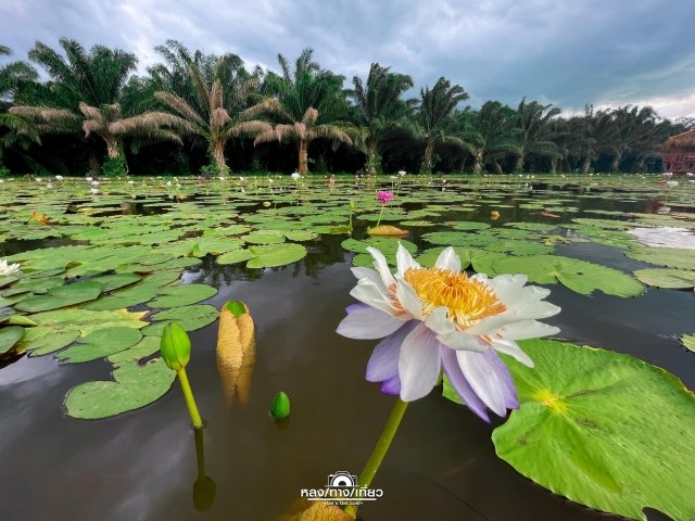 ภาพกิจกรรม 1