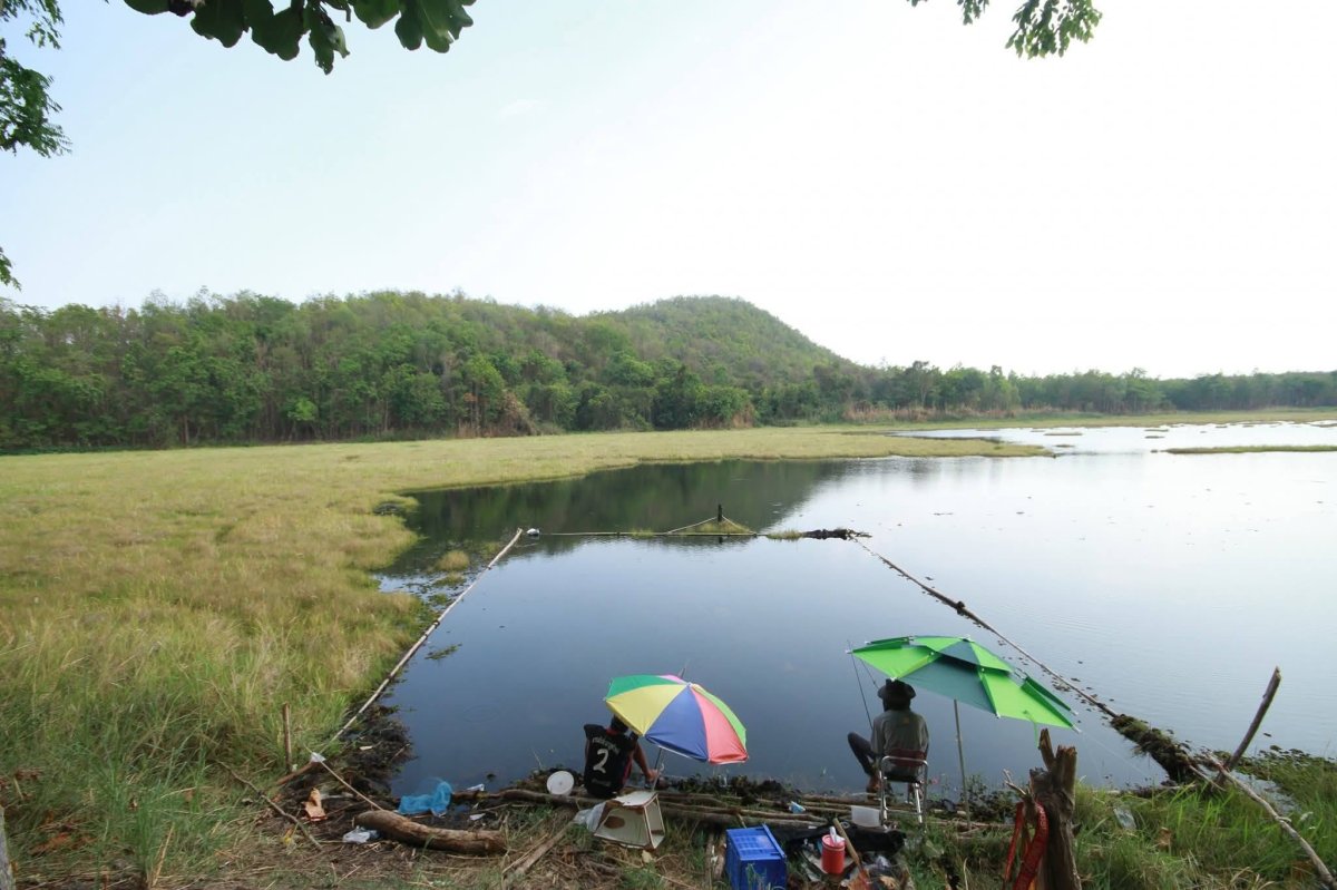 ภาพกิจกรรม 2