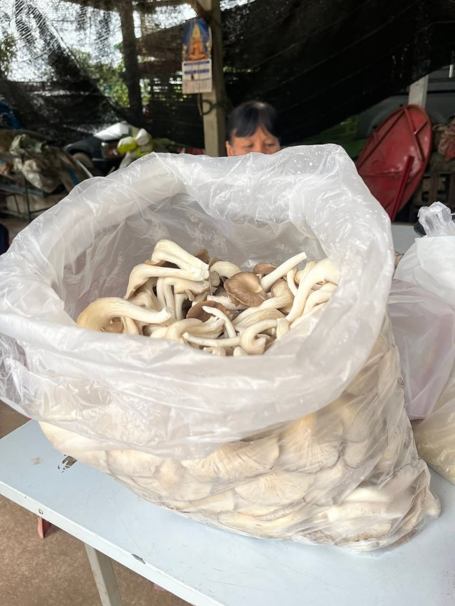 ภาพกิจกรรม 1