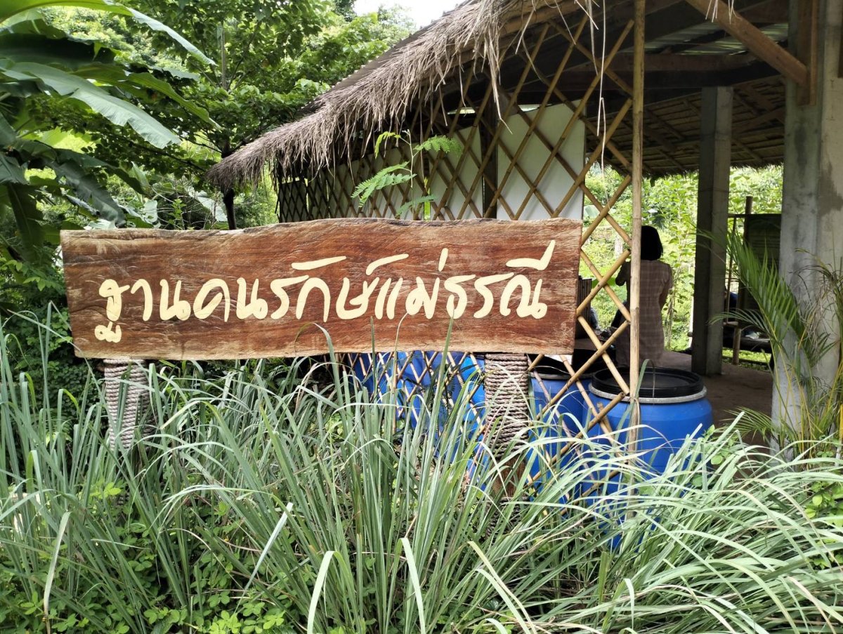 "โคก หนอง นา โมเดล"