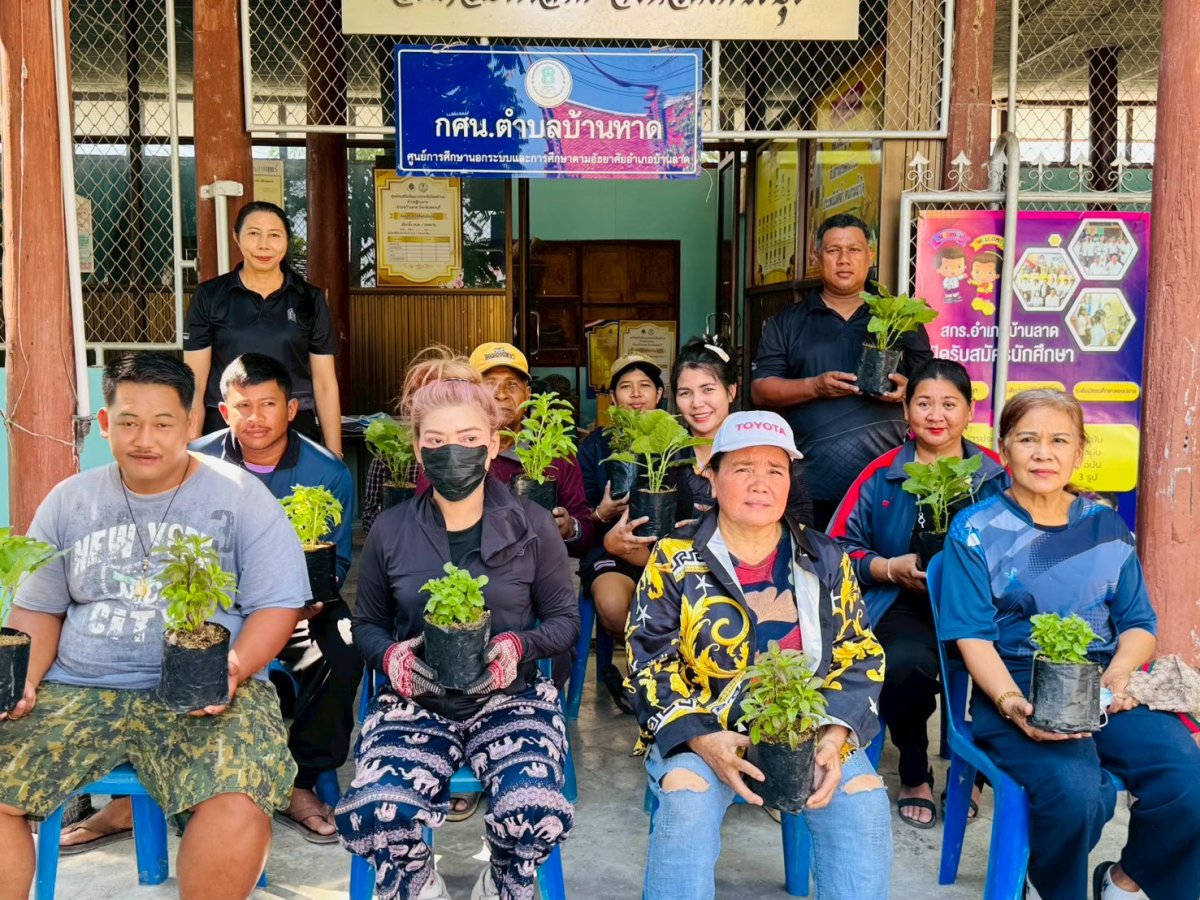 โครงการเศรษฐกิจพอเพียง การปลูกผักสลัดและผักพื้นบ้านปลอดสารพิษ